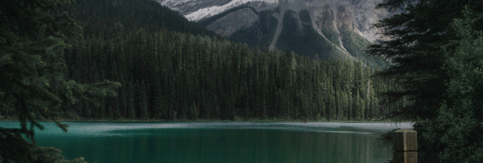 आसमानों के खुदा की परस्तिश कराईं ASMANON KAY KHUDA KI PARASTISH KARAIN