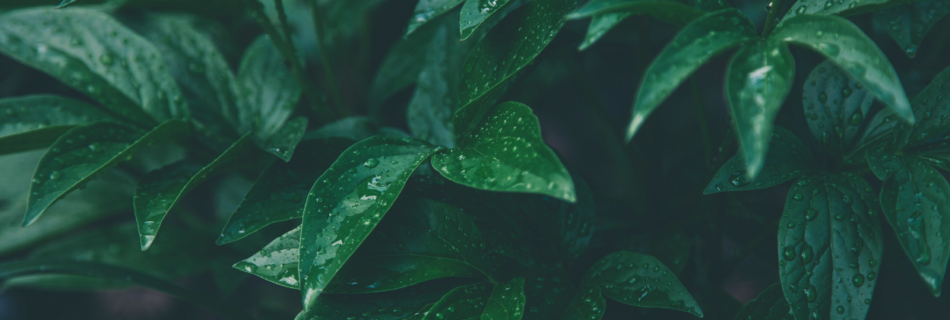 Utar aa, Utar aa, Utar aa, Aye Roohe Pak Utar aa, Aasmani khushi se Urdu Hindi Christian Song Singer: Anil Kant, Reena Kant & Shreya kant | उतर आ, उतर आ, उतर आ, ऐ रूहे पाक उतर आ, आसमानी खुशी से उर्दू हिंदी ईसाई गीत गायक: अनिल कांत, रीना कांत और श्रेया कांत