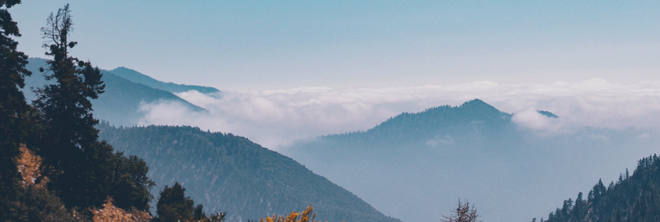 Laut Aaya Hoon Main: Sheldon Bangera New Song Jaago Music | (लौट आया हूँ मैं लिरिक्‍स हिंदी में)