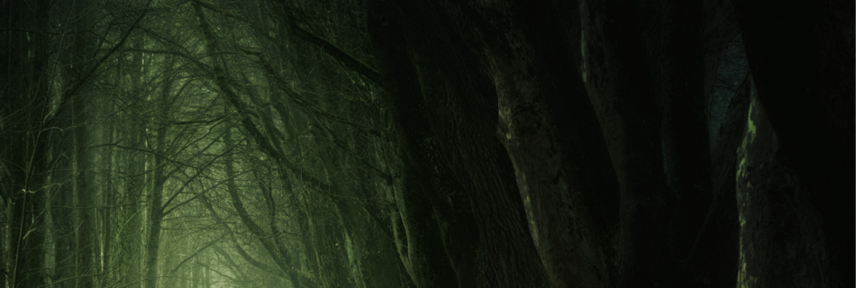 Yeshu Prabhu Dhanyawaad | One Tribe | New Hindi Christian Song 2023, येसु प्रभु धन्‍यवाद लिरिक्‍स