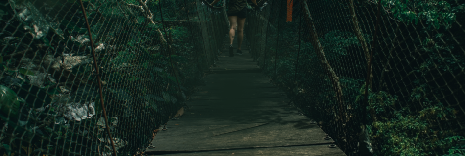 Laut Aaya Hoon Main Lyrics in Hindi (लौट आया हूँ मैं लिरिक्‍स हिंदी में)