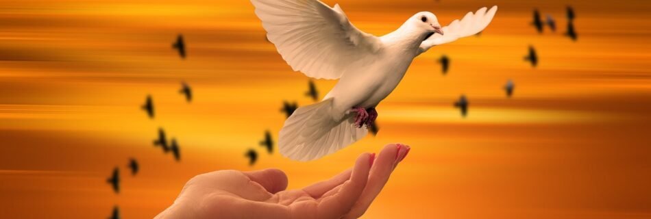 Dhanya Tera Naam, धन्य तेरा नाम