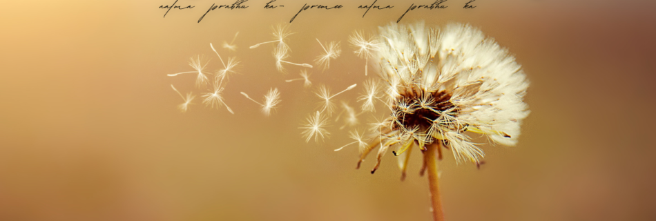 आत्मा प्रभु का- प्रेमी आत्मा प्रभु का aatma prabhu ka- premee aatma prabhu ka