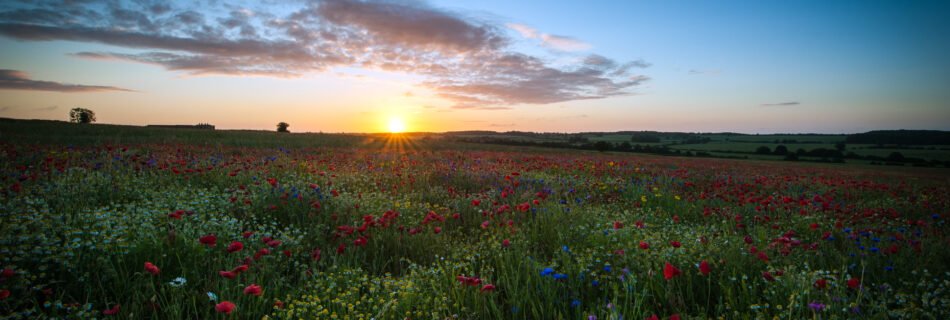 Yeshu Naam Ki Ghoshna | Sheldon Bangera | Ghoshna