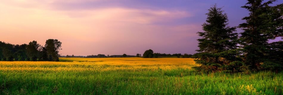 आओ यह समय Aao Yah Hai Samay